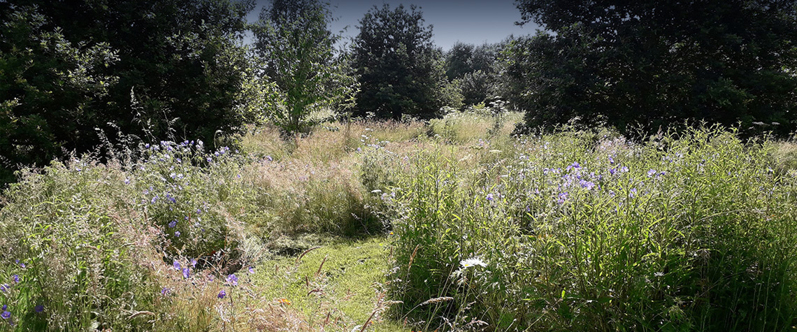 Humber Woodland of Remembrance